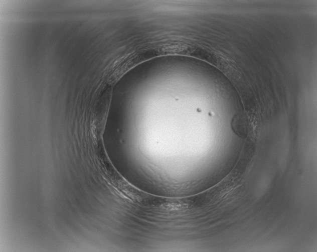 X0000052550745200507152159