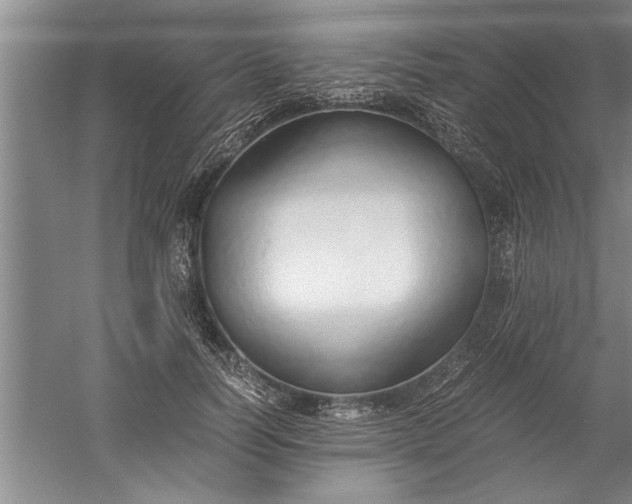 X0000052550746200507152159