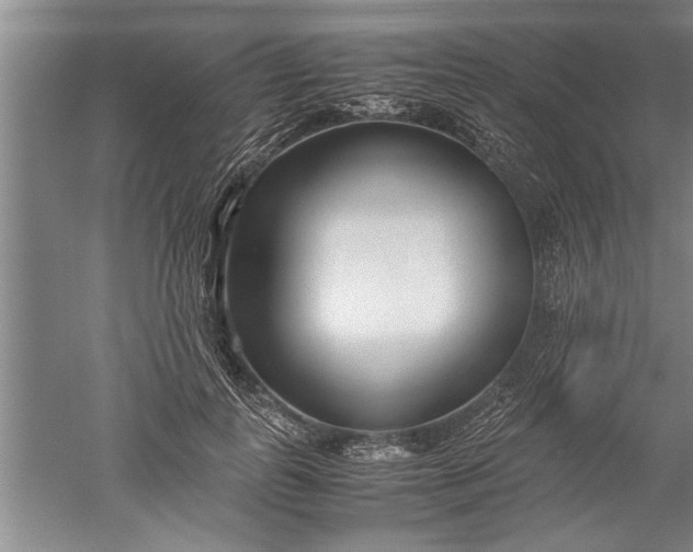 X0000052550747200507152159