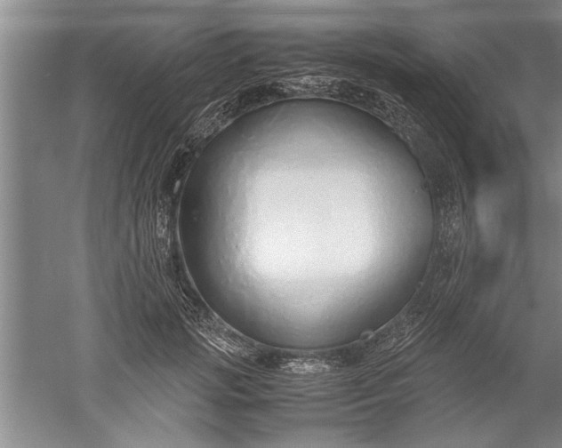 X0000052550749200507152159