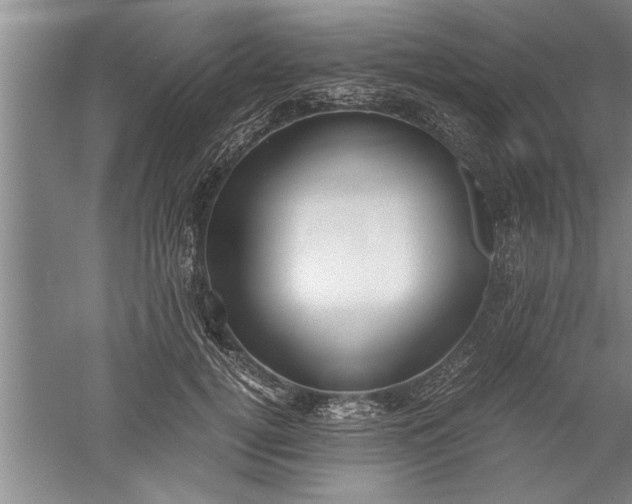 X0000052550752200507152159