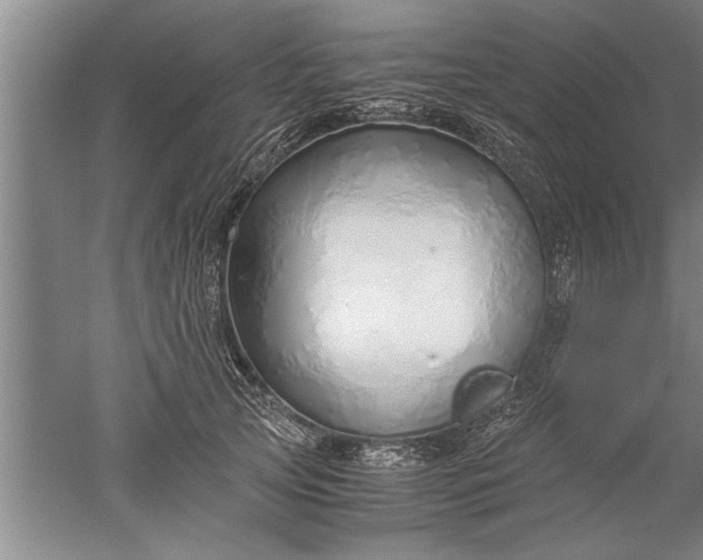 X0000052550753200507152159