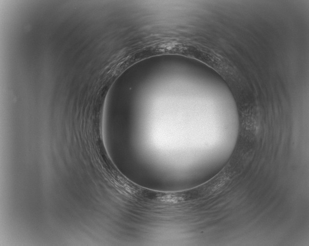 X0000052550754200507152159