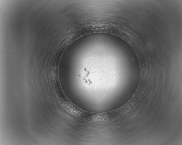 X0000052550756200507152159