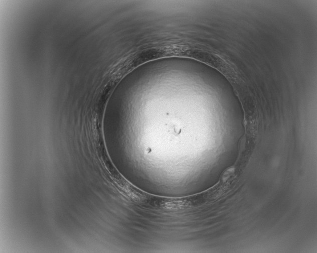 X0000052550757200507152159