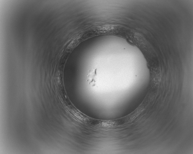 X0000052550758200507152159