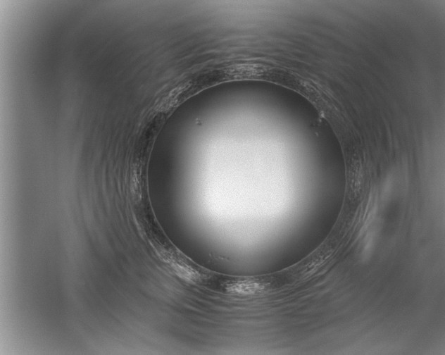 X0000052550759200507152159