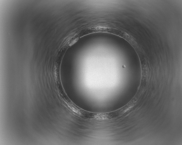 X0000052550762200507152159