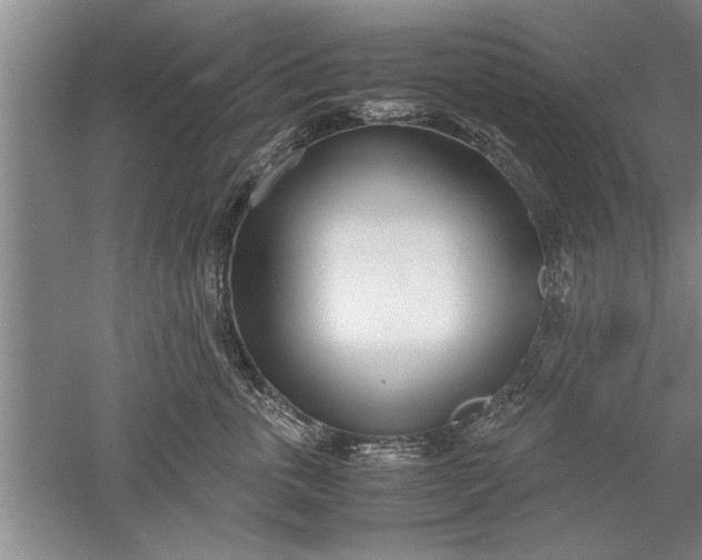 X0000052550763200507152159