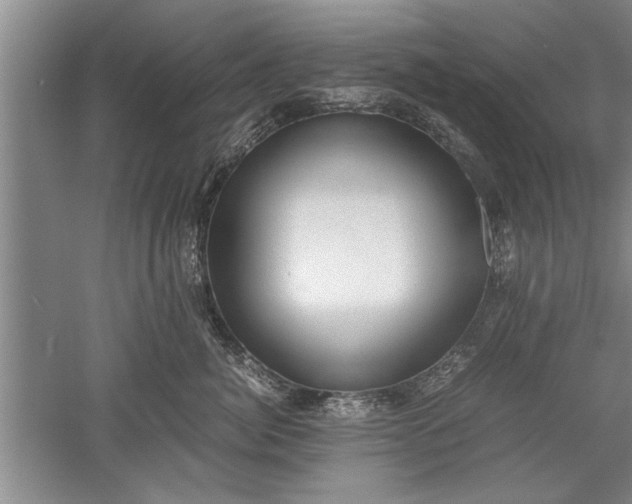 X0000052550764200507152159