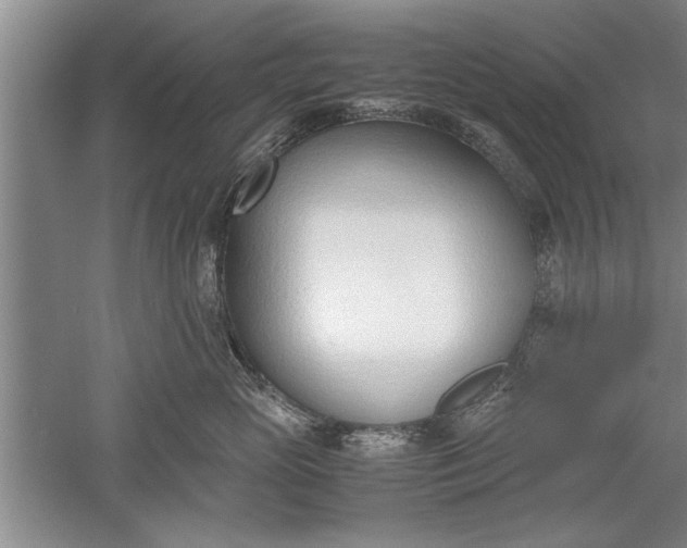 X0000052550765200507152159