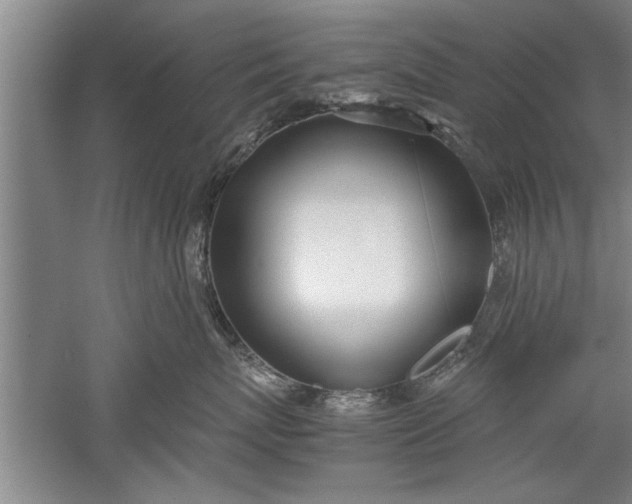 X0000052550767200507152159