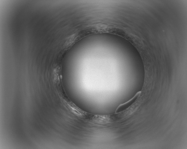 X0000052550768200507152159