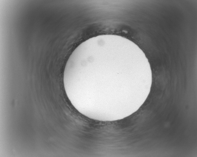 X0000052550769200507152159