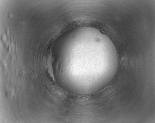 X0000052550772200507152159