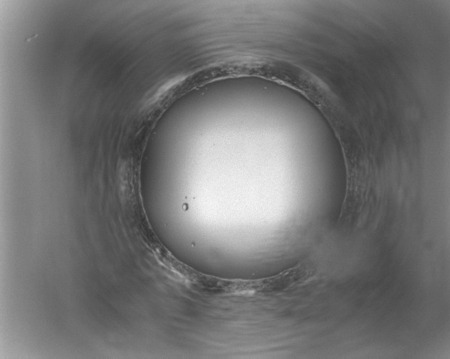 X0000052550773200507152159