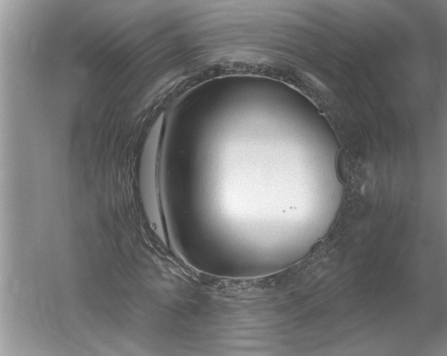 X0000052550774200507152159