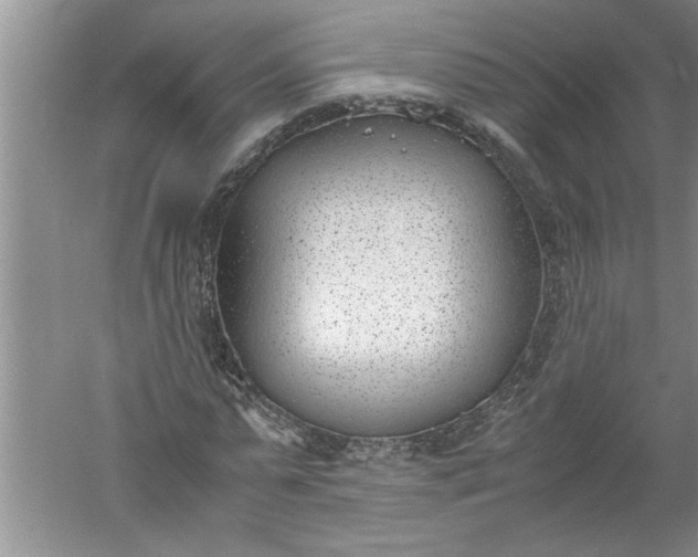 X0000052550775200507152158