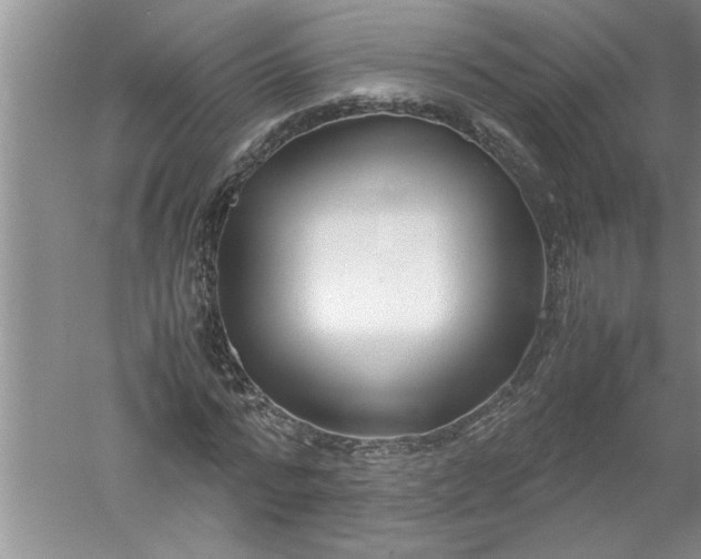 X0000052550776200507152158