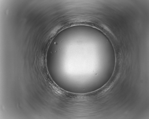 X0000052550777200507152158