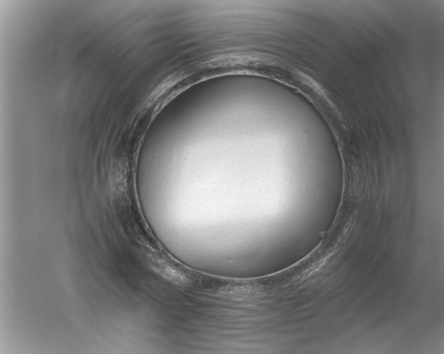 X0000052550778200507152158