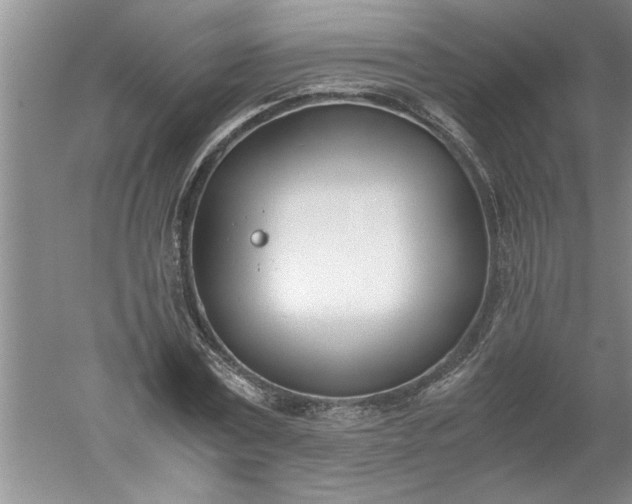 X0000052550779200507152158