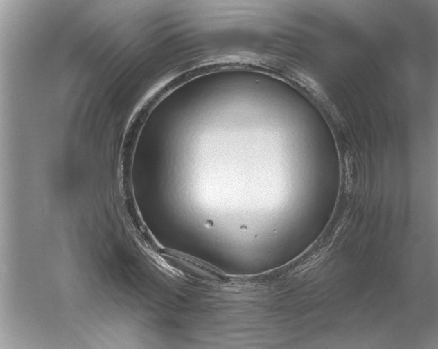 X0000052550780200507152158