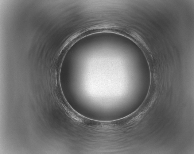 X0000052550781200507152158