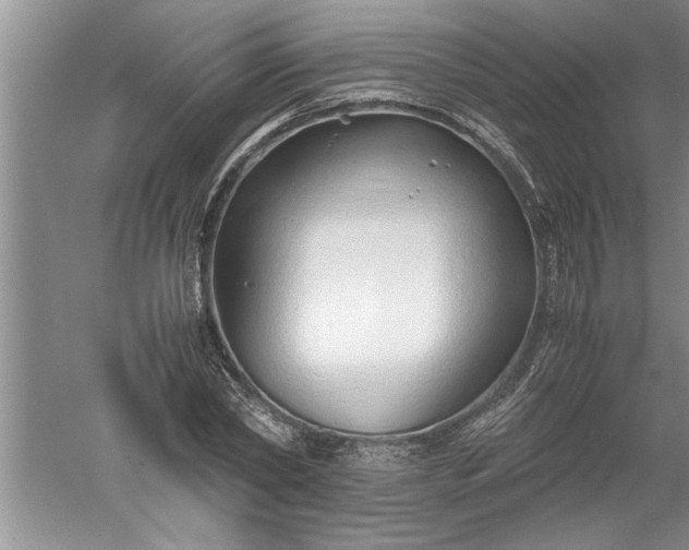 X0000052550782200507152158