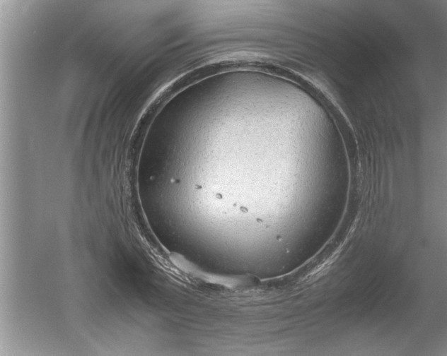 X0000052550783200507152158