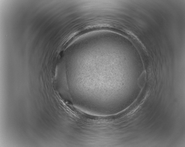 X0000052550785200507152158