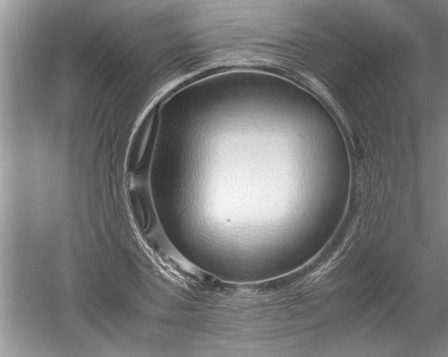 X0000052550787200507152158