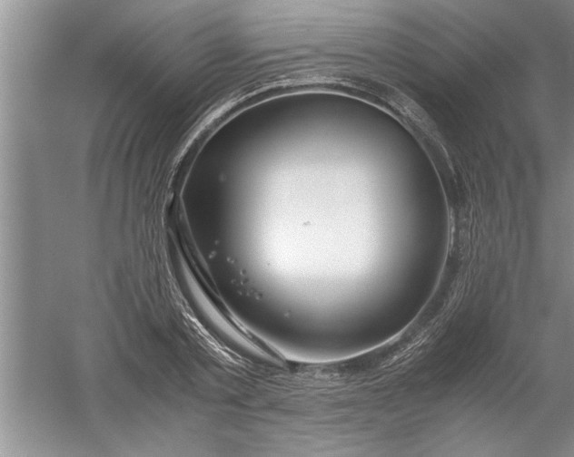 X0000052550789200507152158