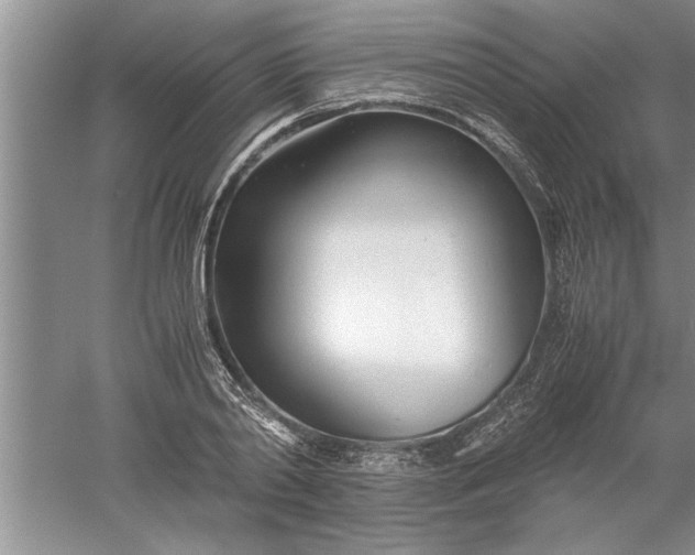 X0000052550790200507152158