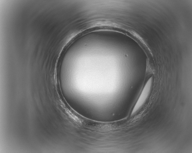 X0000052550791200507152158