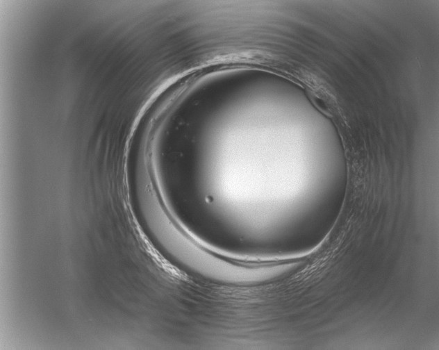 X0000052550792200507152158