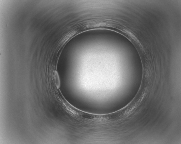 X0000052550793200507152158