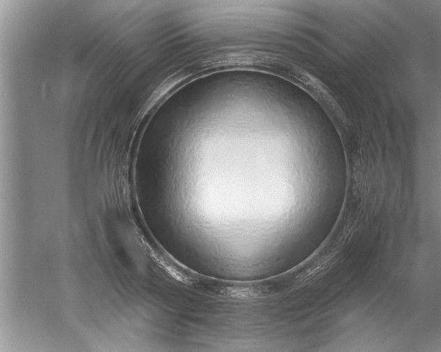 X0000052550794200507152158