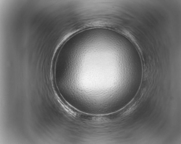 X0000052550795200507152158