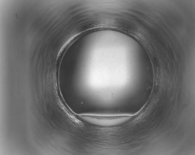 X0000052550796200507152158