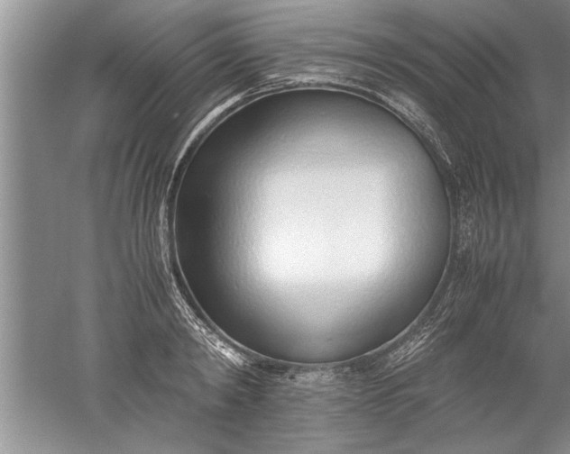 X0000052550798200507152158