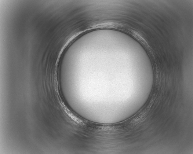 X0000052550800200507152158