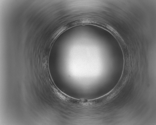 X0000052550801200507152158