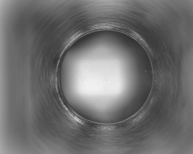 X0000052550802200507152158