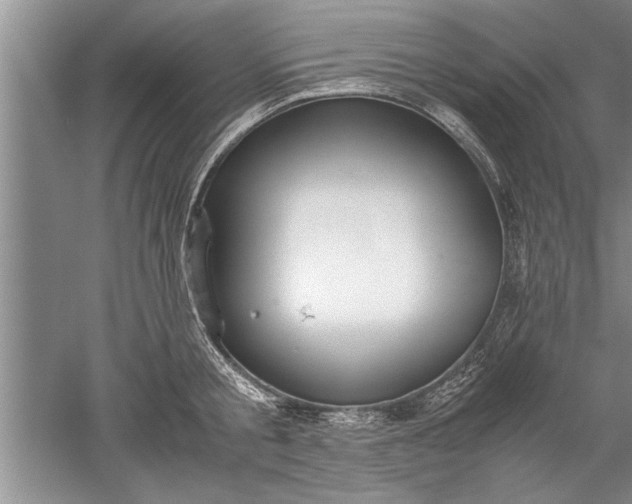 X0000052550805200507152158