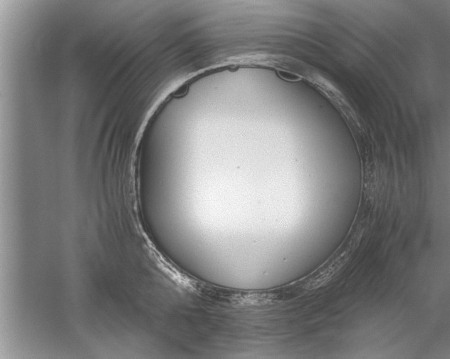 X0000052550808200507152158