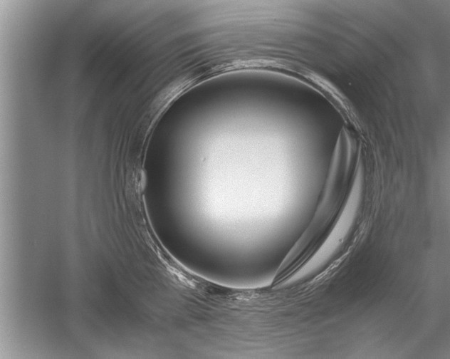 X0000052550809200507152158