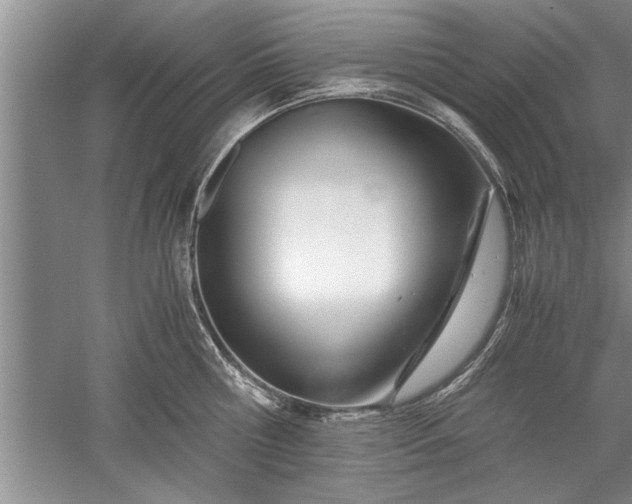 X0000052550810200507152158