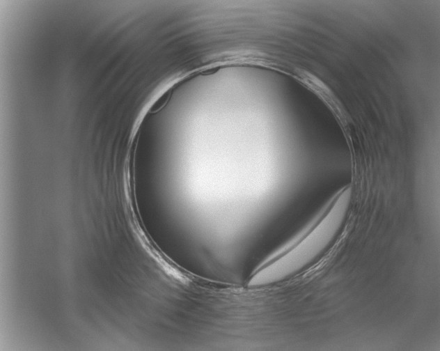 X0000052550812200507152158