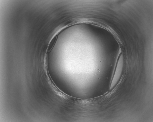 X0000052550814200507152158